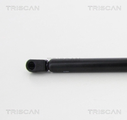 Gas Spring, boot/cargo area
