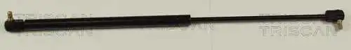 Gas Spring, boot/cargo area (8710 67201)