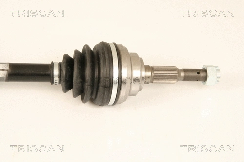 Drive Shaft