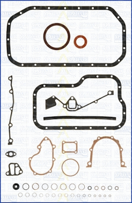 Gasket Kit, crankcase (595-1700)