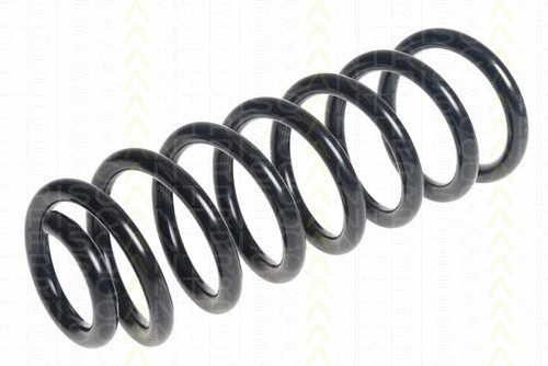 Suspension Spring (8750 28217)