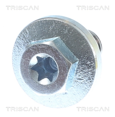 Screw Plug, oil sump