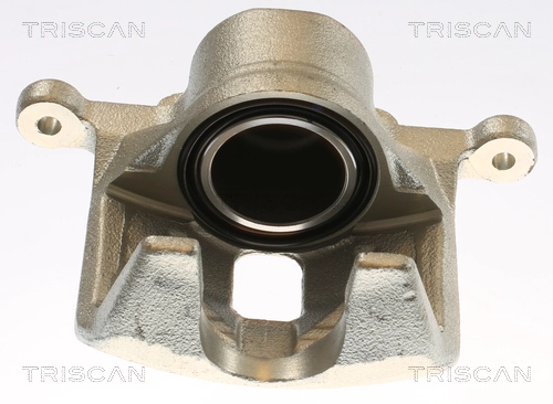 Brake Caliper (8175 69109)