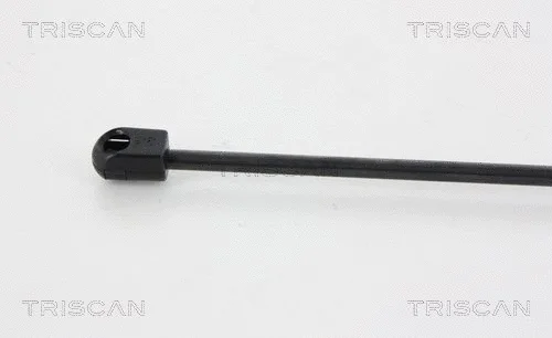 Gas Spring, rear window
