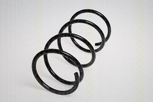 Suspension Spring (8750 4251)