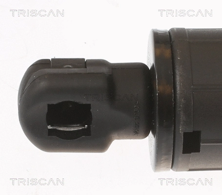 Gas Spring, boot/cargo area