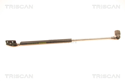 Gas Spring, boot/cargo area (8710 18200)