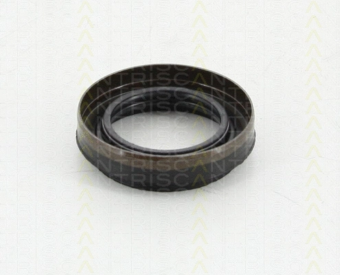 Shaft Seal, differential