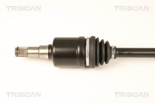 Drive Shaft