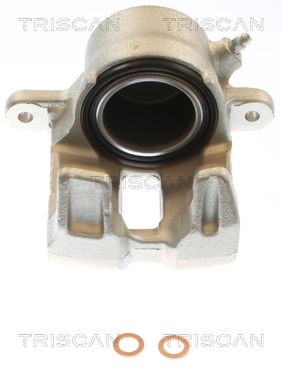 Brake Caliper (8175 69113)
