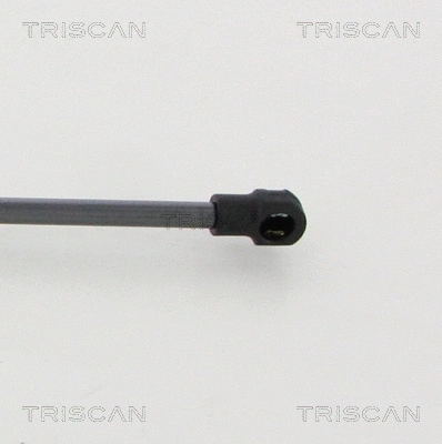 Gas Spring, boot/cargo area