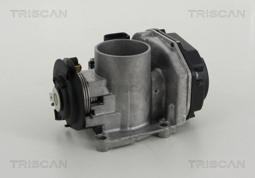 Throttle Body (8820 29011)