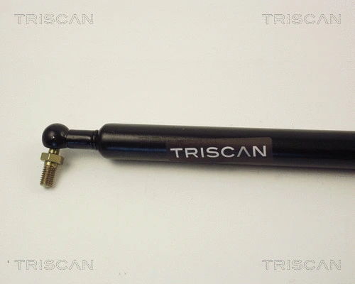 Gas Spring, boot/cargo area