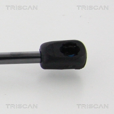 Gas Spring, boot/cargo area