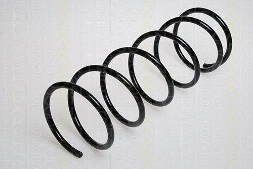 Suspension Spring (8750 1684)