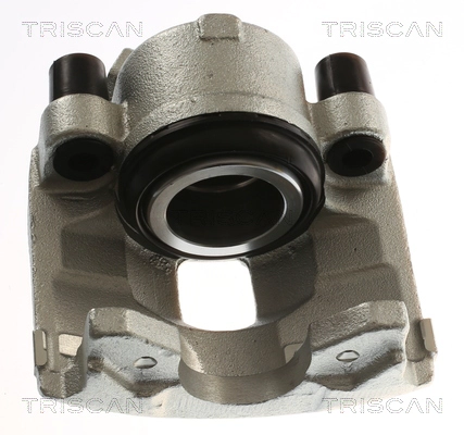 Brake Caliper (8175 15109)