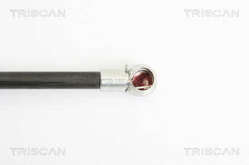 Gas Spring, boot/cargo area