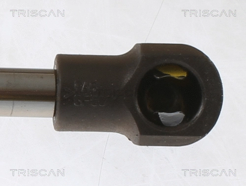 Gas Spring, boot/cargo area