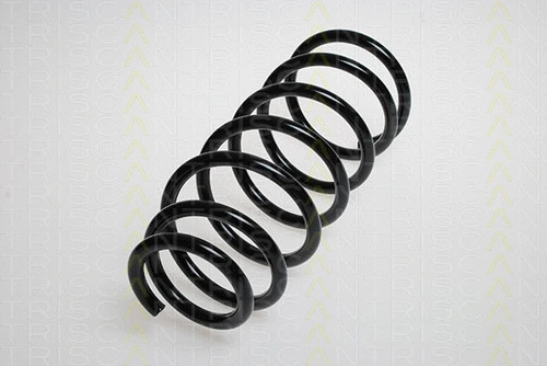 Suspension Spring (8750 1835)