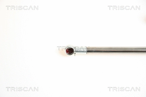 Gas Spring, boot/cargo area