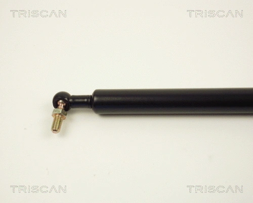 Gas Spring, boot/cargo area