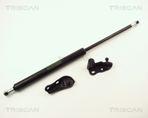 Gas Spring, boot/cargo area (8710 13264)