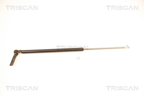 Gas Spring, boot/cargo area (8710 40212)