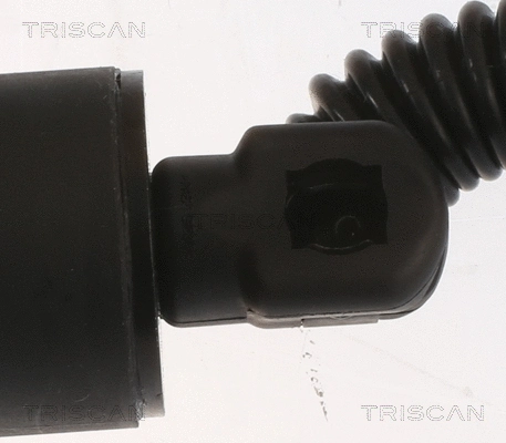 Gas Spring, boot/cargo area