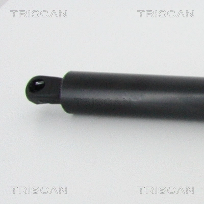 Gas Spring, boot/cargo area