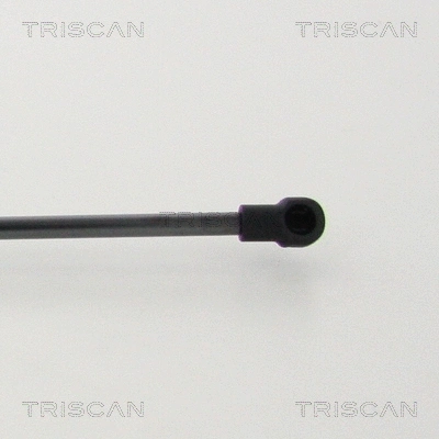 Gas Spring, boot/cargo area