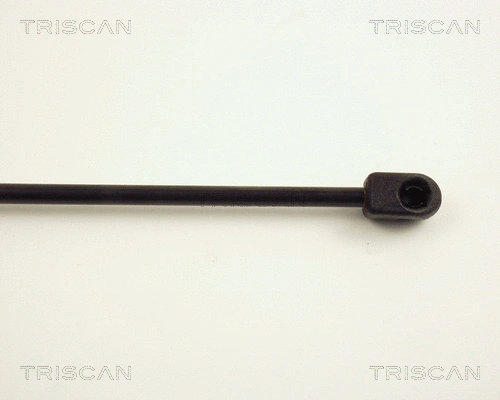 Gas Spring, boot/cargo area