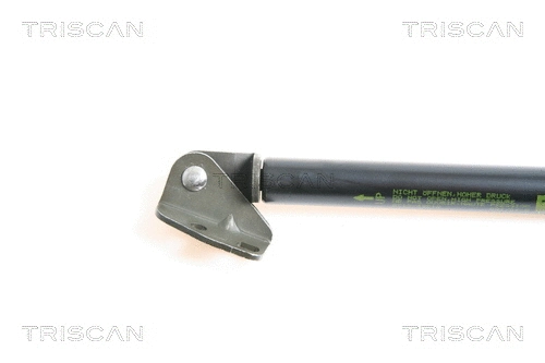 Gas Spring, boot/cargo area