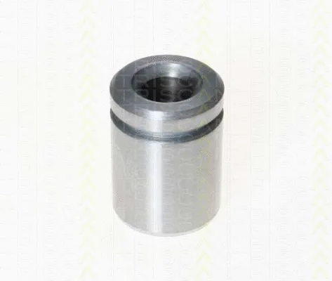 Piston, brake caliper (8170 233633)