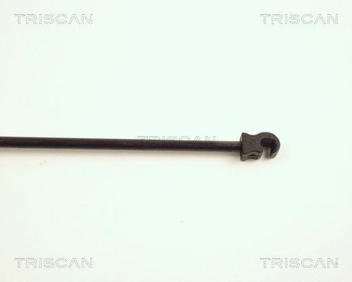 Gas Spring, boot/cargo area