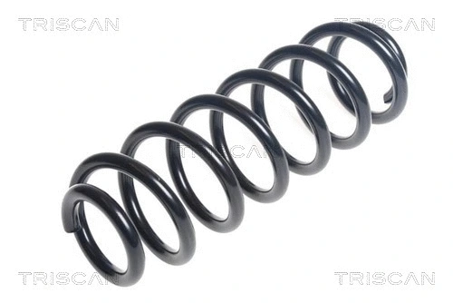 Suspension Spring (8750 29451)