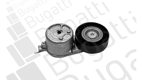 Tensioner Lever, V-ribbed belt (BTOA4005)