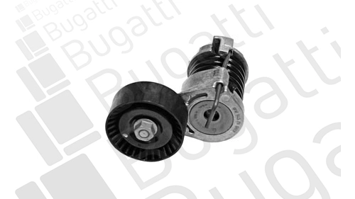 Tensioner Lever, V-ribbed belt (BTOA4002)