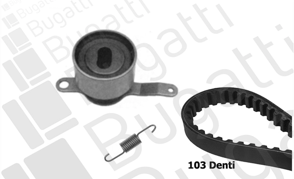 Timing Belt Kit (BKCD0175)