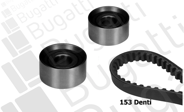 Timing Belt Kit (BKCD0089)