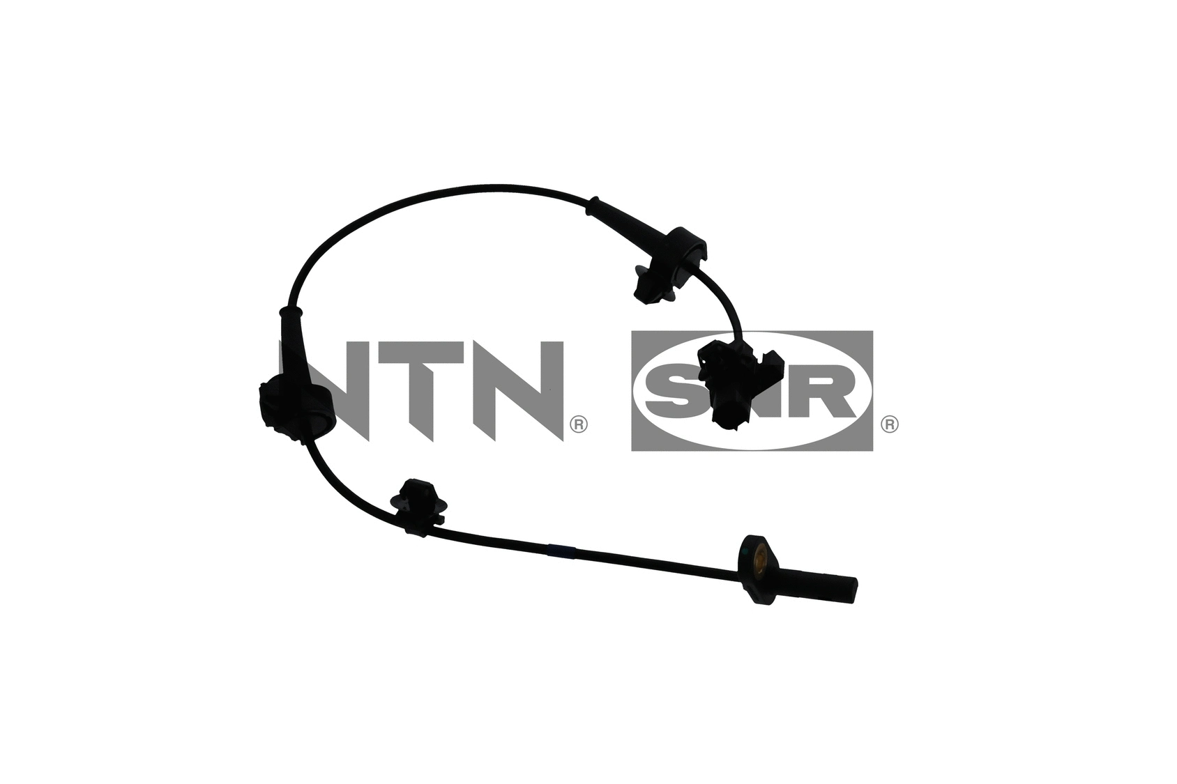 Sensor, wheel speed (ASB174.08)