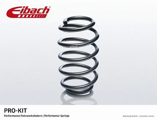 Suspension Spring (F2021002)
