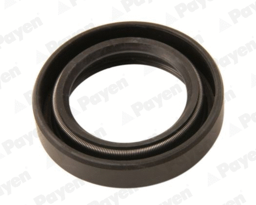 Shaft Seal (NJ849)