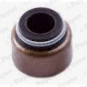 Seal Ring, valve stem (PB156)