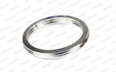 Gasket, exhaust pipe (JE013)