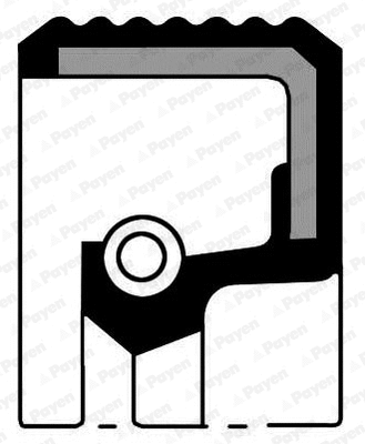 Shaft Seal, camshaft (NF869)