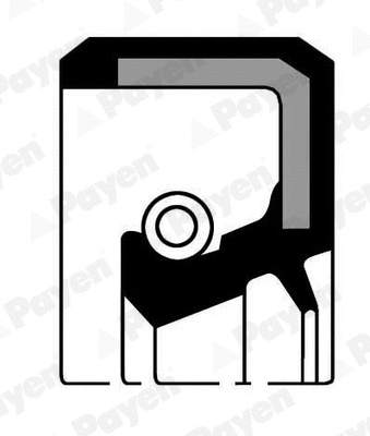 Shaft Seal, differential (NJ186)