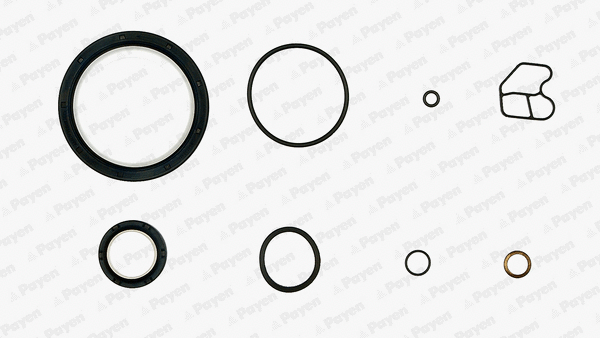 Gasket Kit, crankcase (EF5990)
