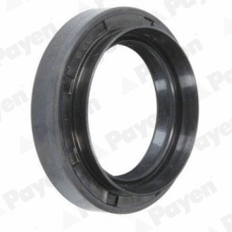 Shaft Seal (NJ921)