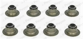 Seal Set, valve stem (HR656)