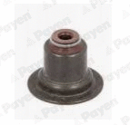 Seal Ring, valve stem (PA6070)